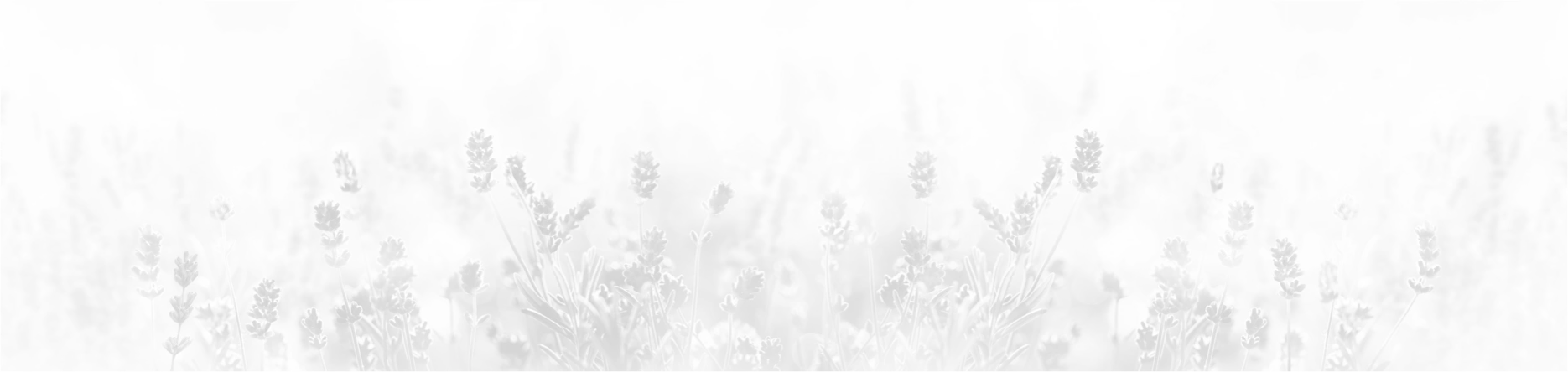 Counselling - Lavender Field